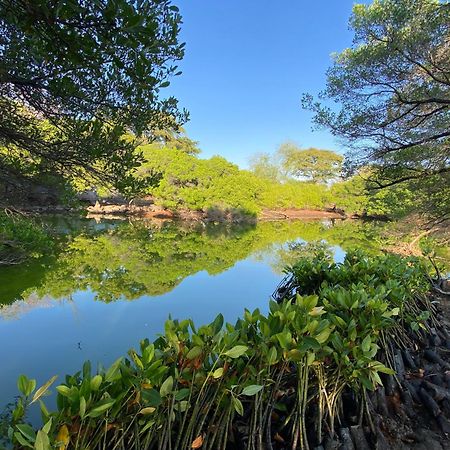 Badini Homestay Pemuteran Dış mekan fotoğraf